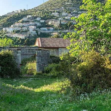 Color - South Paradise 1 Appartement Vuno