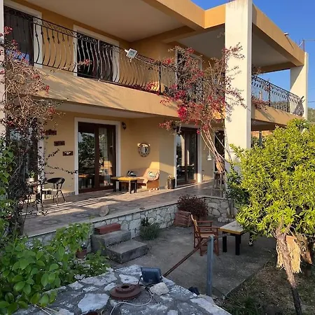 Color - South Paradise 1 *