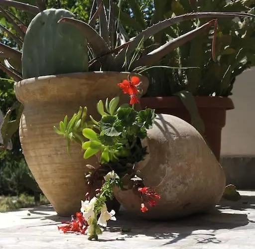 Color - South Paradise 1 Appartement