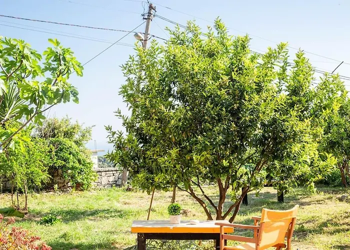 Appartement Color - South Paradise 1 *