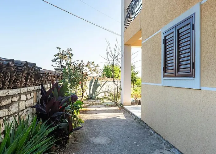 Color - South Paradise 1 * Vuno