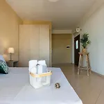 Apartment Color - South Paradise 1 *