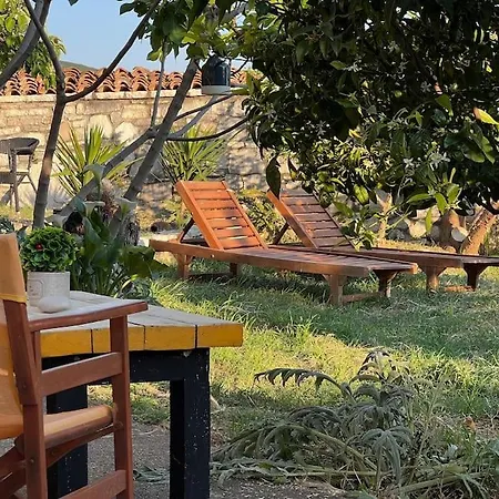 Color - South Paradise 1 *