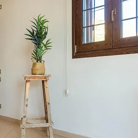 Color - South Paradise 1 * Vuno