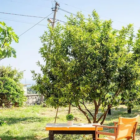 公寓 Color - South Paradise 1 *