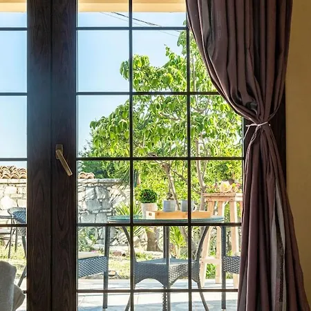 Color - South Paradise 1 * Vuno