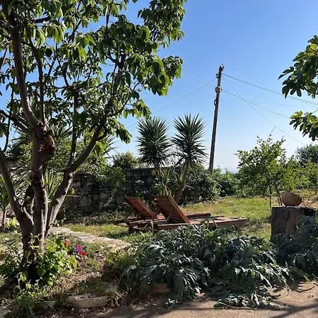 Color - South Paradise 1 公寓 *